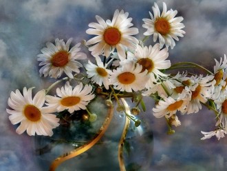 chamomile_flowers_bouquets_vase_sky_clouds_background_34142_1024x768